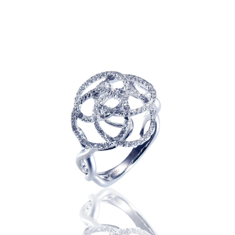 Infinite Treasure Ring (Diamond)